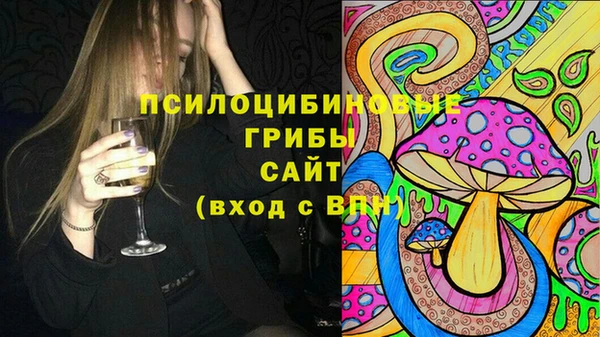 дурь Богданович